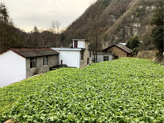 商洛市商南縣鄉(xiāng)建設(shè)用地增減掛鉤項(xiàng)目.jpg